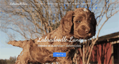 Desktop Screenshot of labradoodlelane.com