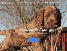 Tablet Screenshot of labradoodlelane.com